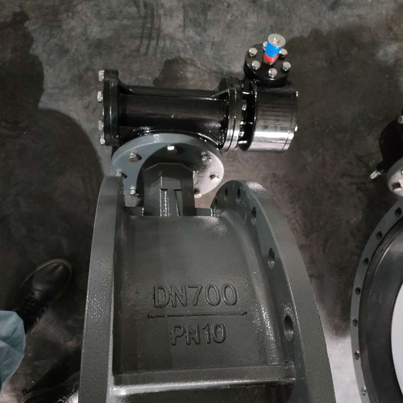 Large diameter turbine flange butterfly valve detail Large diameter turbine flange butterfly valve detail